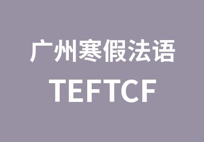 广州寒假法语TEFTCF强化班