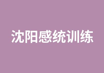 沈阳感统训练