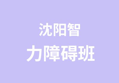 沈阳智力障碍班