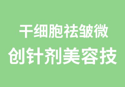 干细胞祛皱微创针剂美容技术培训资料