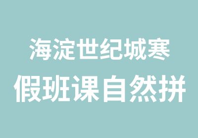 海淀世纪城寒假班课自然拼读2周数千单