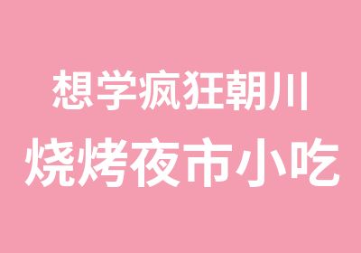 想学疯狂朝川烧烤夜市小吃早点些列