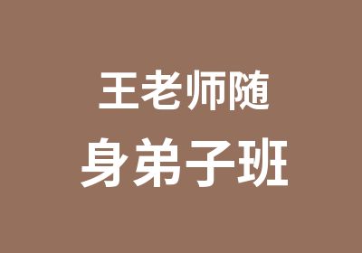 王老师随身弟子班