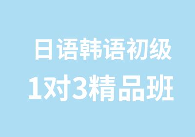 日语韩语初级1对3精品班