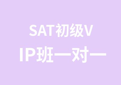 SAT初级VIP班