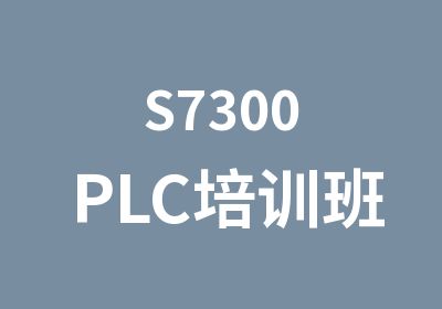 S7300PLC培训班