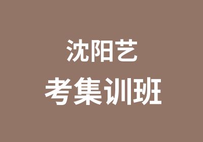 沈阳艺考集训班