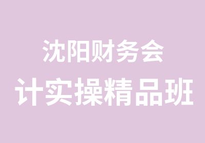 沈阳财务会计实操精品班