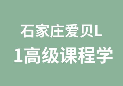 石家庄爱贝L1课程学科