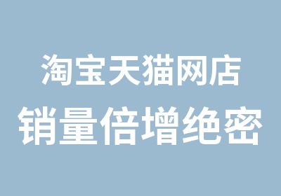 天猫网店销量倍增绝密解析实战技能班