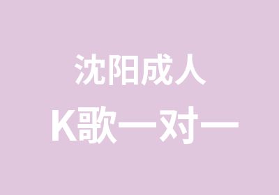 沈阳成人K歌