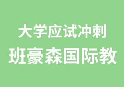 大学应试冲刺班豪森国际教育