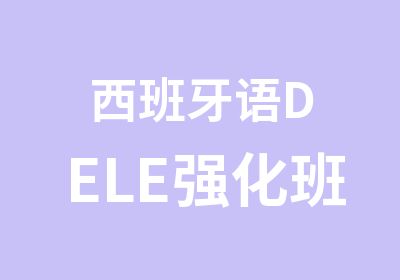 西班牙语DELE强化班