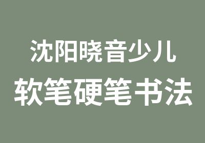 沈阳晓音少儿软笔硬笔书法