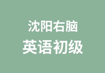 沈阳右脑英语初级