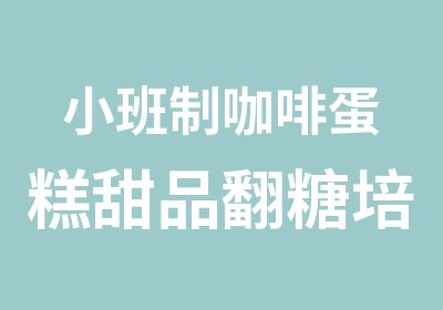 小班制咖啡蛋糕甜品翻糖培训