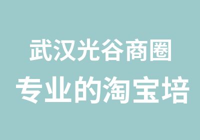 武汉光谷商圈专业的培训