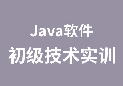 Java软件初级技术实训