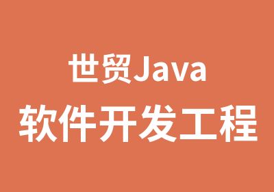 世贸Java软件开发工程师