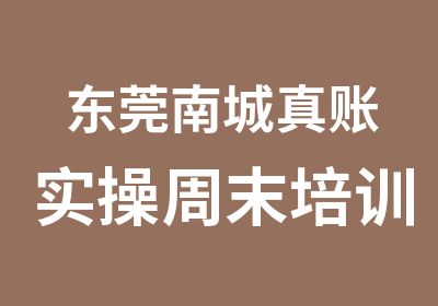 东莞南城真账实操周末培训班