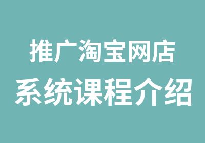 推广网店系统课程介绍