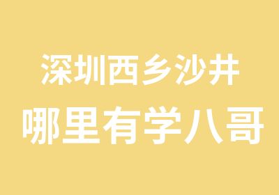 深圳西乡沙井哪里有学八哥酸辣粉技术酸辣粉