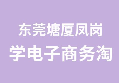 东莞塘厦凤岗学电子商务网店培训