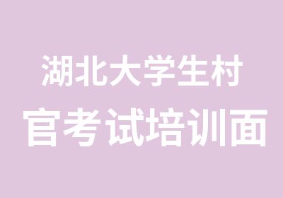 湖北大学生村官考试培训面试