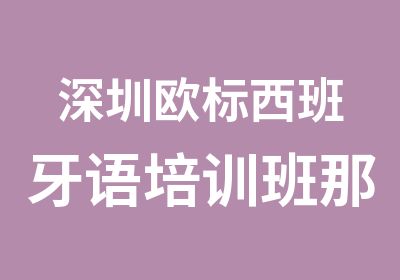 深圳欧标西班牙语培训班那里好