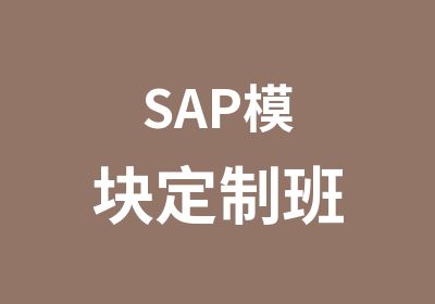 SAP模块定制班