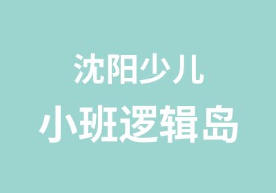 沈阳少儿小班逻辑岛