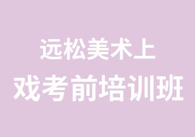 远松美术上戏考前培训班