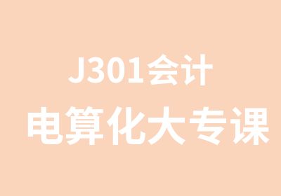 J301会计电算化大专课程