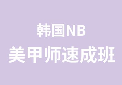 韩国NB美甲师速成班