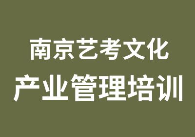 南京艺考文化产业管理培训