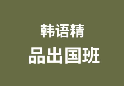 韩语精品出国班