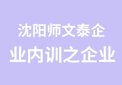 沈阳师文泰企业内训之企业文化的建立