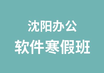 沈阳办公软件寒假班