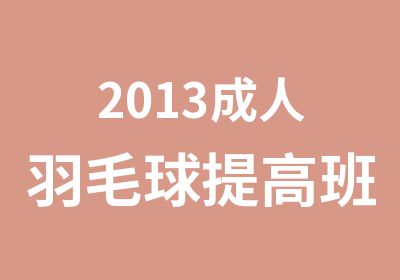 2013成人羽毛球