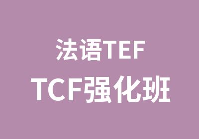 法语TEFTCF强化班