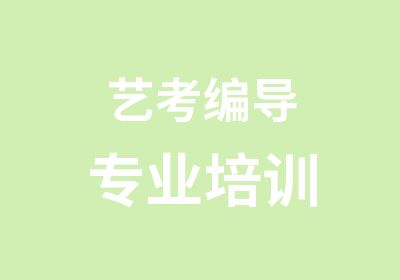 艺考编导专业培训