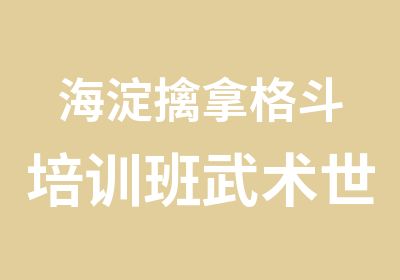 海淀擒拿格斗培训班武术世家培训