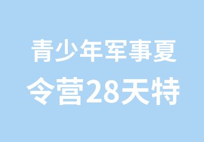 青少年军事夏令营28天特训营