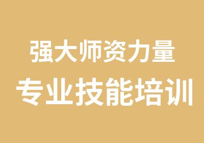 强大师资力量专业技能培训