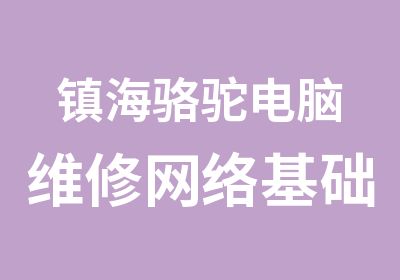 镇海骆驼电脑维修网络基础