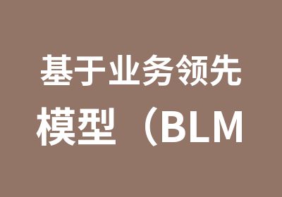 基于业务模型（BLM）的产品战略与规划