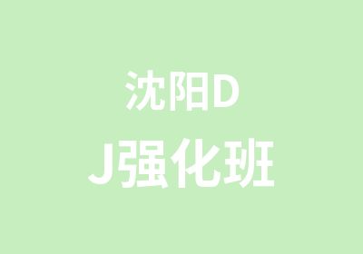 沈阳DJ强化班