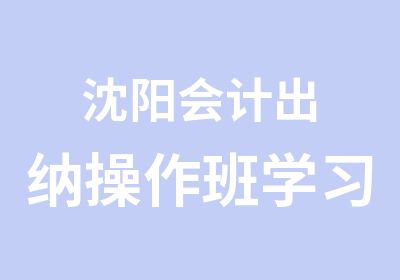 沈阳会计出纳操作班学习