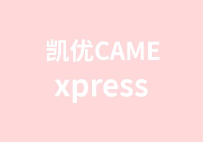 凯优CAMExpress11月班热招