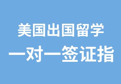 美国出国留学签证指导项目